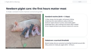 Swine_Production_Based on International Training Center on Pig Husbandy ...