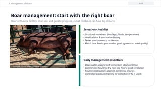 Swine_Production_Based on International Training Center on Pig Husbandy ...