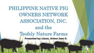 PHILIPPINE NATIVE PIG
OWNERS NETWORK
ASSOCIATION, INC.
and the
Teofely Nature Farms
Presented by: Llacer, Arlene Jane D.
 