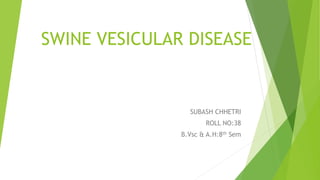 SWINE VESICULAR DISEASE
SUBASH CHHETRI
ROLL NO:38
B.Vsc & A.H:8th Sem
 