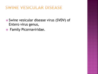  Swine vesicular disease virus (SVDV) of
Entero virus genus,
 Family Picornaviridae.
 