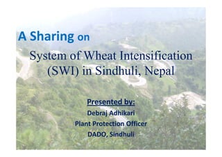 A Sharing on
 System of Wheat Intensification
    (SWI) in Sindhuli, Nepal

             Presented by:
             Debraj...