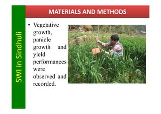 MATERIALS AND METHODS
                  • Vegetative
                    growth,
SWI in Sindhuli

                    pani...