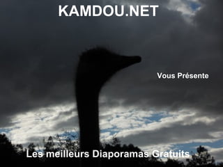 KAMDOU.NET



                          Vous Présente




Les meilleurs Diaporamas Gratuits
 