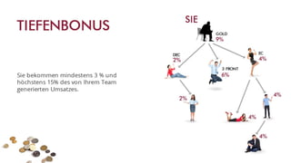 Swiss Halley Geschäftspräsentation