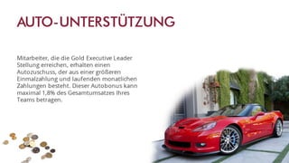 Swiss Halley Geschäftspräsentation