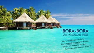 Swiss Halley Geschäftspräsentation