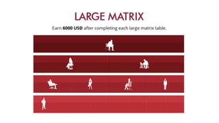 Swiss Halley Business