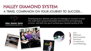 Swiss Halley Business