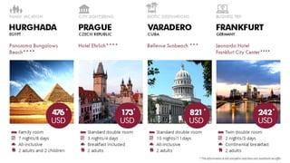 Swiss Halley Business Presentation (ENG)