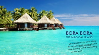 Swiss Halley Business Presentation (ENG)