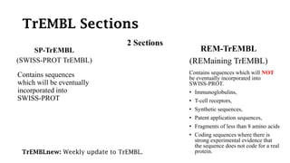 TrEMBL Sections
2 Sections
SP-TrEMBL
(SWISS-PROT TrEMBL)
REM-TrEMBL
(REMaining TrEMBL)
Contains sequences
which will be eventually
incorporated into
SWISS-PROT
Contains sequences which will NOT
be eventually incorporated into
SWISS-PROT.
• Immunoglobulins,
• T-cell receptors,
• Synthetic sequences,
• Patent application sequences,
• Fragments of less than 8 amino acids
• Coding sequences where there is
strong experimental evidence that
the sequence does not code for a real
protein.TrEMBLnew: Weekly update to TrEMBL.