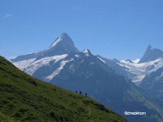 Schreckhorn 