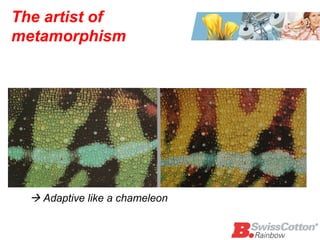 The artist of metamorphism     Adaptive like a chameleon 