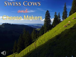 Swiss cows and cheese makers (v.m.)