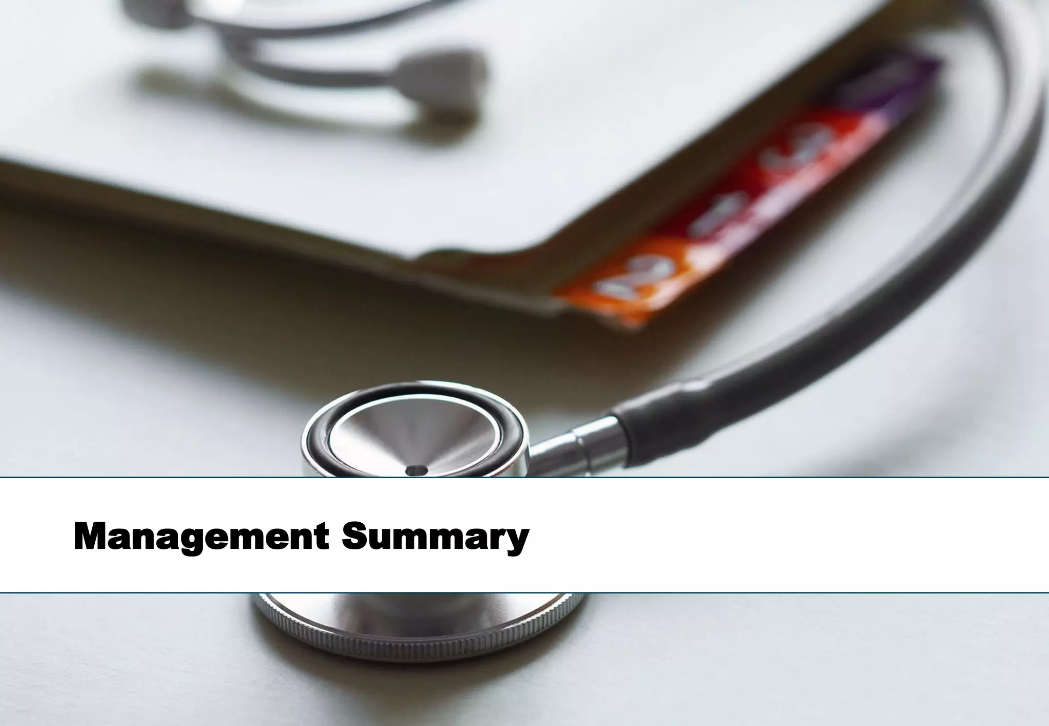 Management Summary



                     5
 