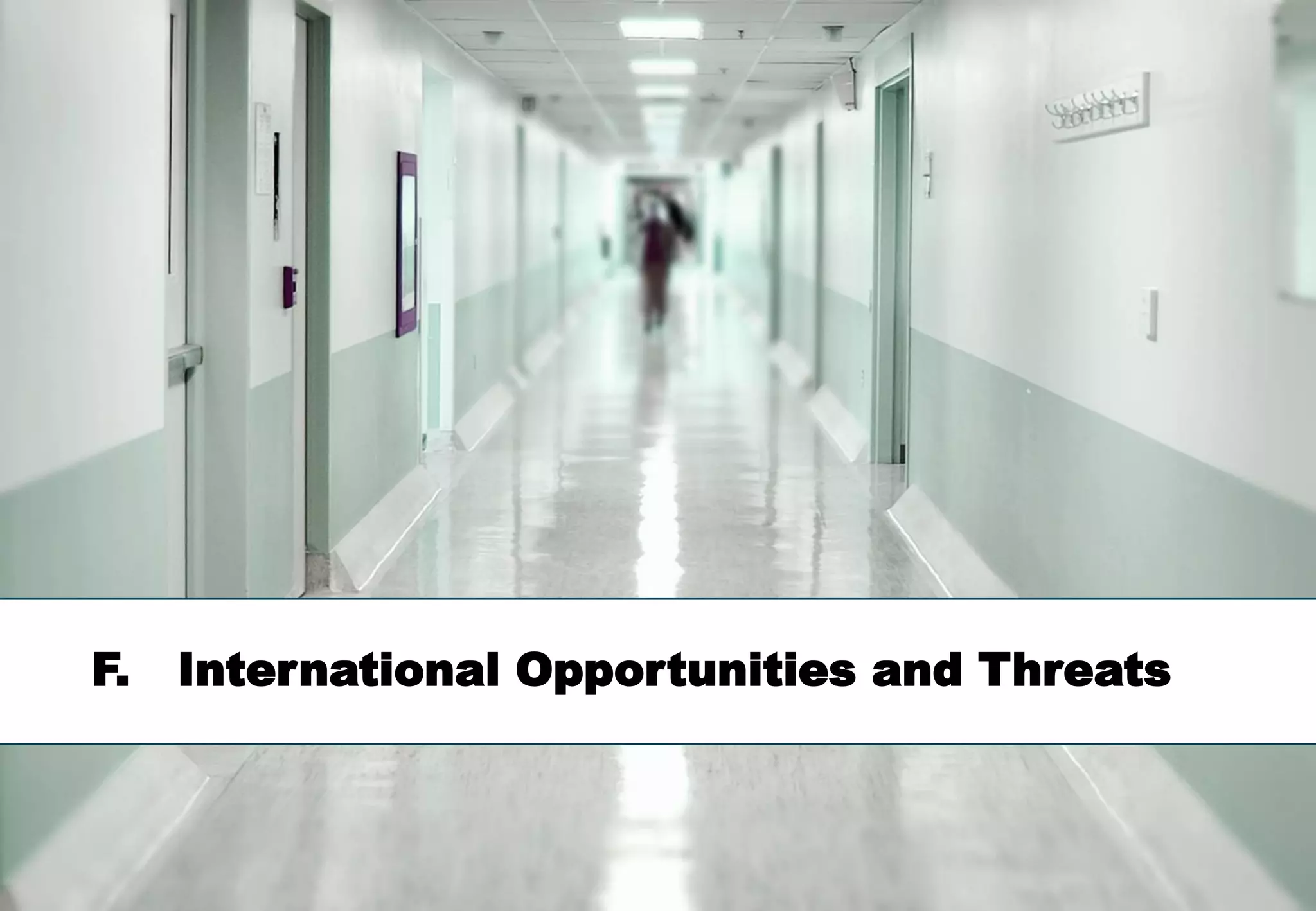 F.   International Opportunities and Threats



                                               51
 