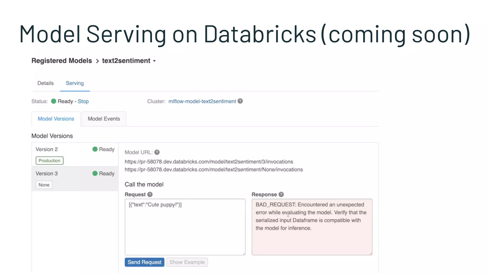 Model Serving on Databricks (coming soon)
 