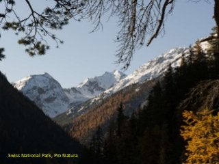 Swiss National Park, Pro Natura
 