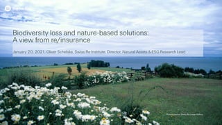 Biodiversity loss and nature-based solutions:
A view from re/insurance
January 20, 2021, Oliver Schelske, Swiss Re Institute, Director, Natural Assets & ESG Research Lead
Picture source: Swiss Re Image Gallery
 