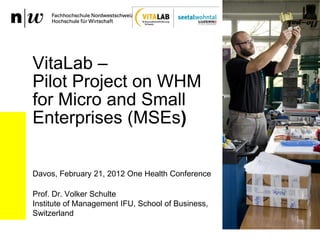 VitaLab –
Pilot Project on WHM
for Micro and Small
Enterprises (MSEs)

Davos, February 21, 2012 One Health Conference

Prof. Dr. Volker Schulte
Institute of Management IFU, School of Business,
Switzerland
 
