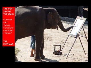 THE RIGHT
SIDE OF
THE BRAIN
•Emotion
•Art
•Music
•Creativity
•Intuition
•“Heart”
THE
ELEPHANT
 