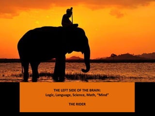 THE LEFT SIDE OF THE BRAIN:
Logic, Language, Science, Math, “Mind”
THE RIDER
 