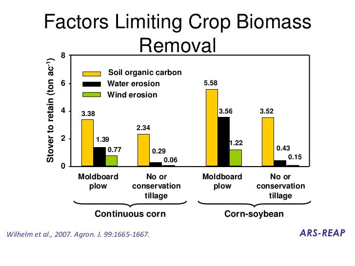 Switchgrass, energy, bioenergy, vogel 3 2012