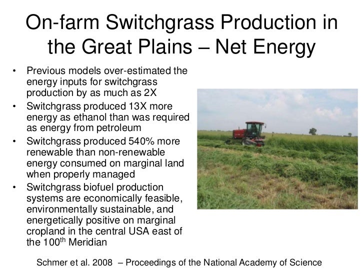 Switchgrass, energy, bioenergy, vogel 3 2012