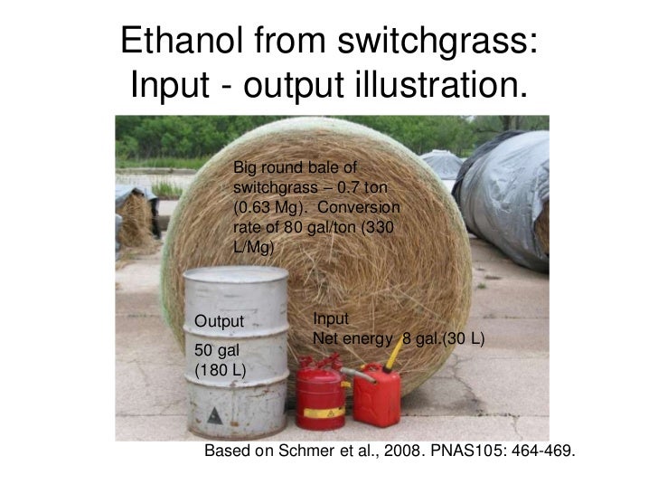 Switchgrass, energy, bioenergy, vogel 3 2012