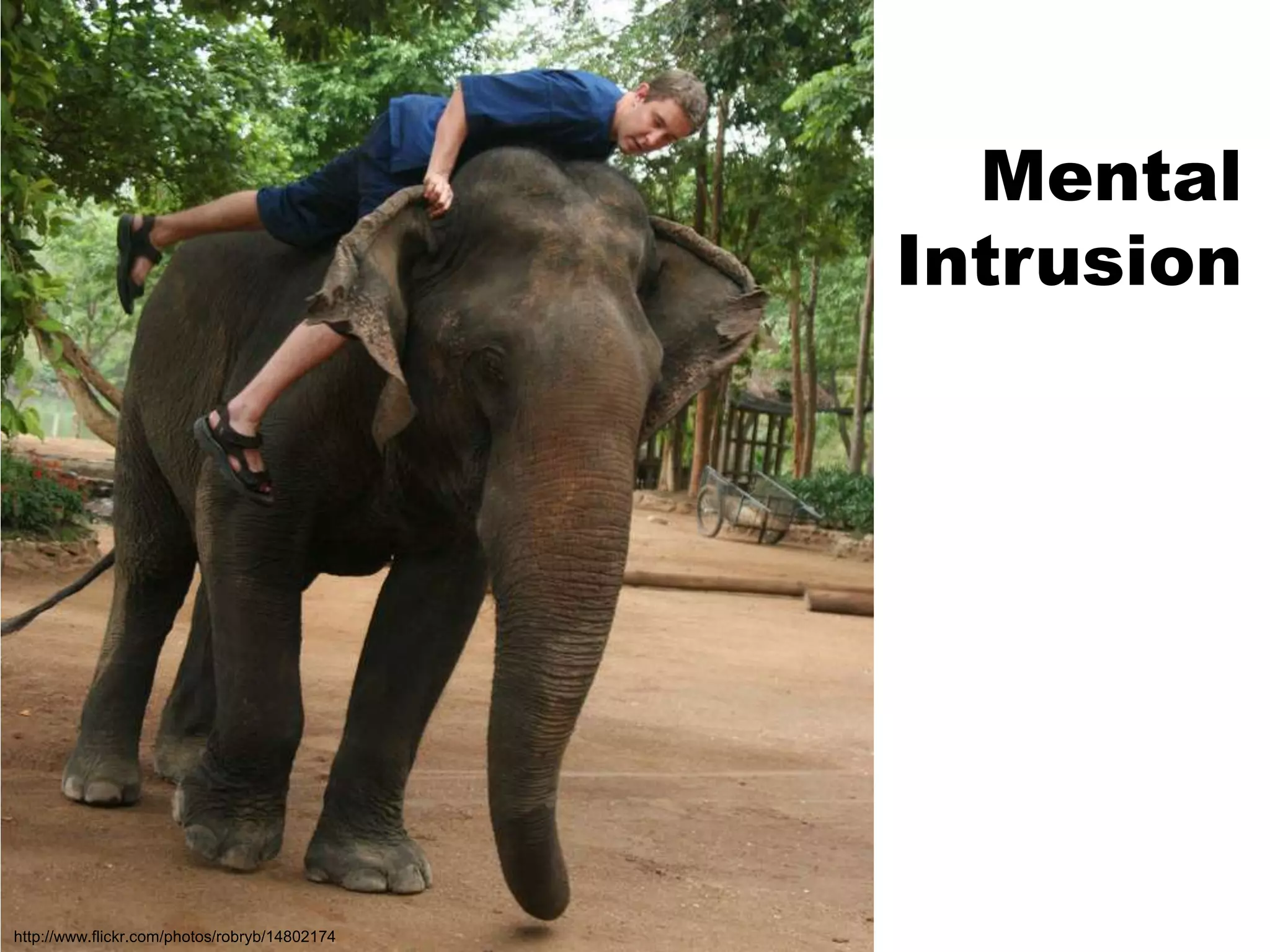 MentalIntrusionhttp://www.flickr.com/photos/robryb/14802174