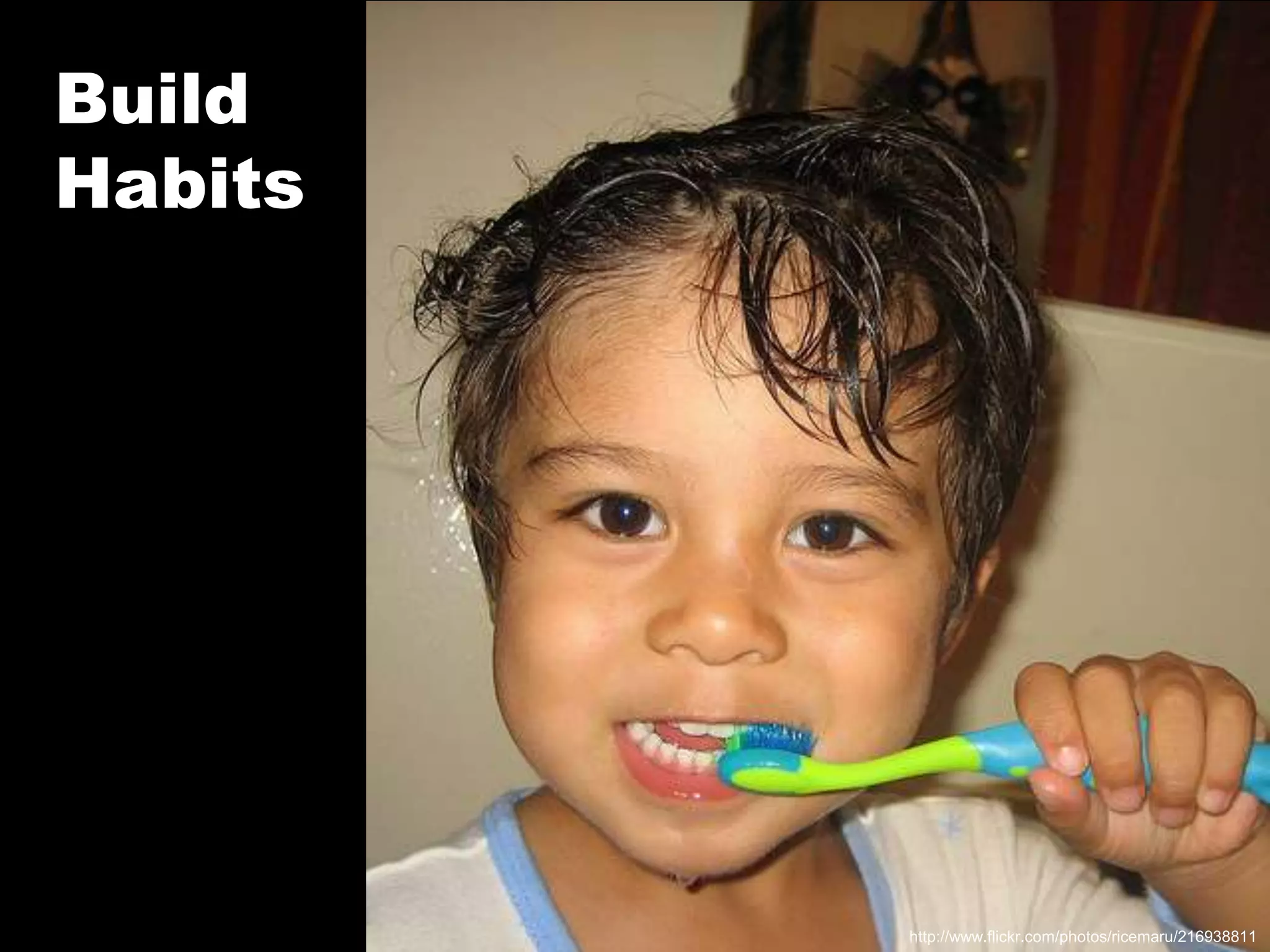 Build Habitshttp://www.flickr.com/photos/ricemaru/216938811