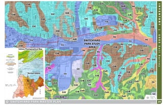 Switchyard Park Master Plan | Inventory Phase | PDF