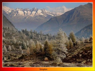 Simplon