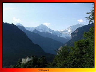 Wilderswil 