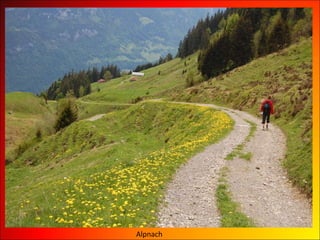Alpnach  