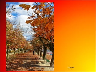 Luzern