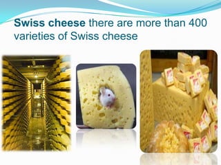 Swiss cheese there are more than 400
varieties of Swiss cheese
 