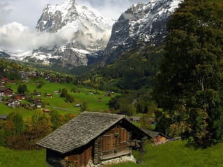 Alpines Of Switzerland