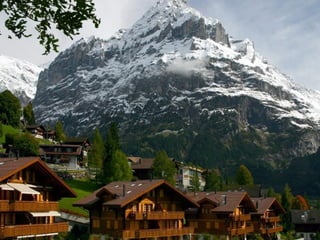 Alpines Of Switzerland