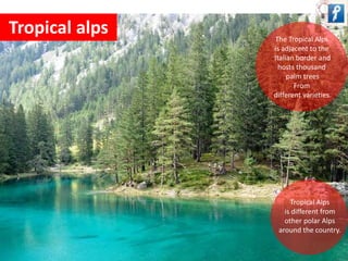 Tropical alps 
The Tropical Alps 
is adjacent to the 
Italian border and 
hosts thousand 
palm trees 
From 
different varieties. 
Tropical Alps 
is different from 
other polar Alps 
around the country. 
 