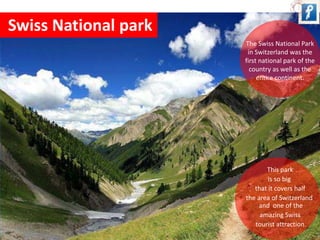 Swiss National park 
The Swiss National Park 
in Switzerland was the 
first national park of the 
country as well as the 
entire continent. 
This park 
is so big 
that it covers half 
the area of Switzerland 
and one of the 
amazing Swiss 
tourist attraction. 
 