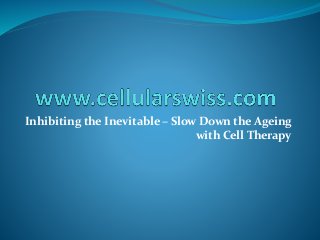 Inhibiting the Inevitable – Slow Down the Ageing 
with Cell Therapy 
 