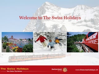 Welcome to The Swiss Holidays
 