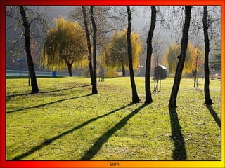 Sion 