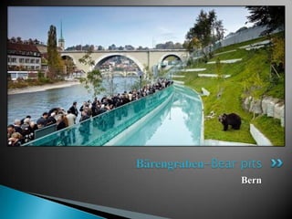 Bärengraben-Bear pits
                 Bern
 