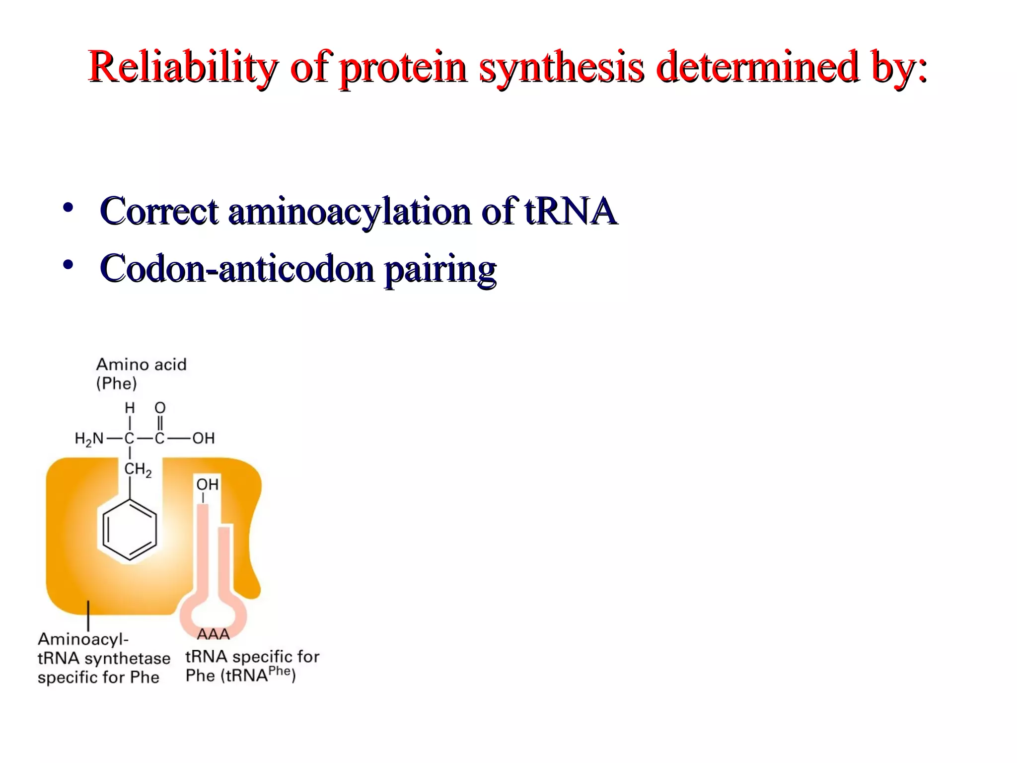 Reliability of protein synthesis determined by:Reliability of protein synthesis determined by:
• Correct aminoacylation of tRNACorrect aminoacylation of tRNA
• Codon-anticodon pairingCodon-anticodon pairing
 