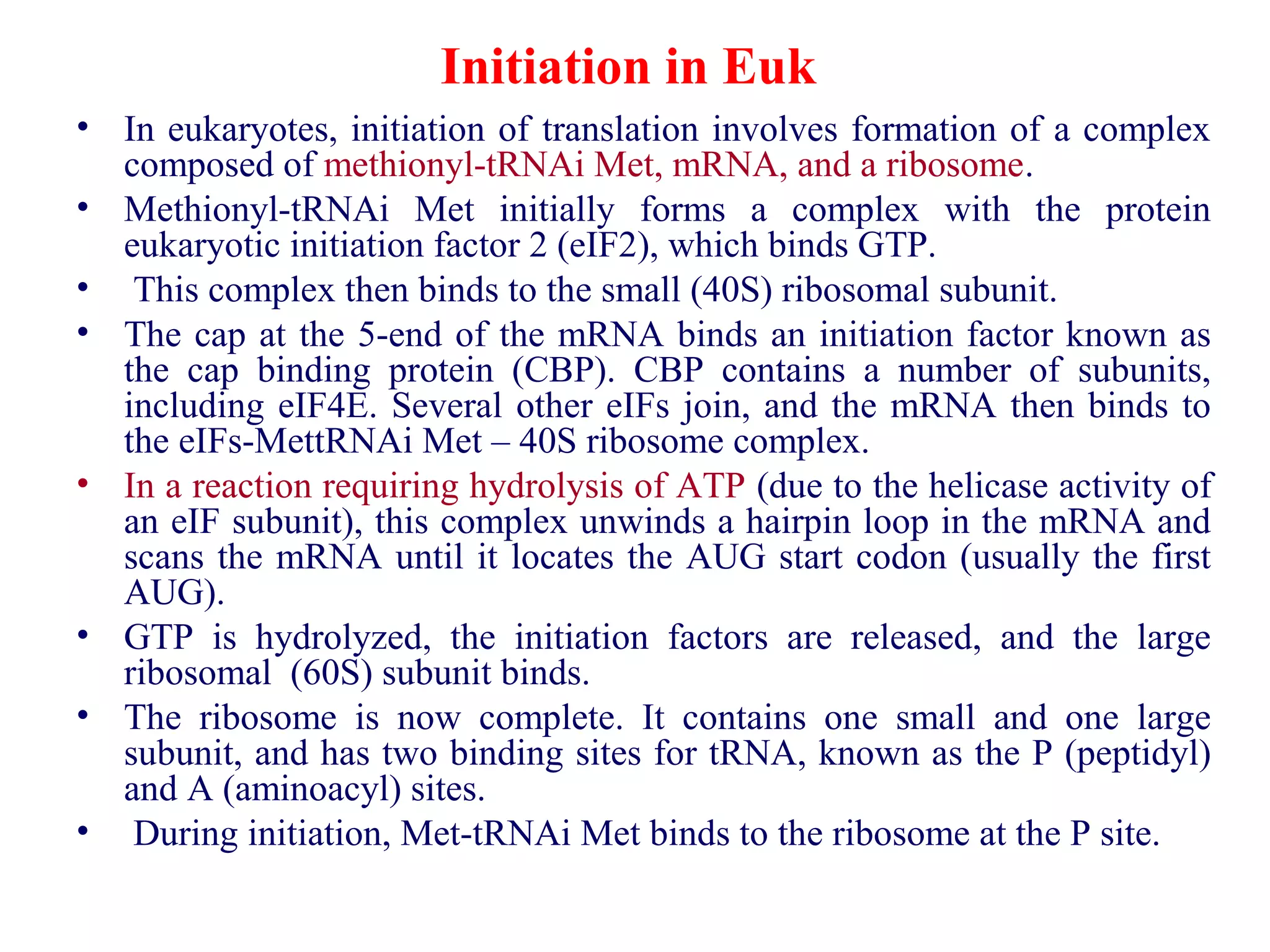 Initiation in Euk
• In eukaryotes, initiation of translation involves formation of a complex
composed of methionyl-tRNAi Met, mRNA, and a ribosome.
• Methionyl-tRNAi Met initially forms a complex with the protein
eukaryotic initiation factor 2 (eIF2), which binds GTP.
• This complex then binds to the small (40S) ribosomal subunit.
• The cap at the 5-end of the mRNA binds an initiation factor known as
the cap binding protein (CBP). CBP contains a number of subunits,
including eIF4E. Several other eIFs join, and the mRNA then binds to
the eIFs-MettRNAi Met – 40S ribosome complex.
• In a reaction requiring hydrolysis of ATP (due to the helicase activity of
an eIF subunit), this complex unwinds a hairpin loop in the mRNA and
scans the mRNA until it locates the AUG start codon (usually the first
AUG).
• GTP is hydrolyzed, the initiation factors are released, and the large
ribosomal (60S) subunit binds.
• The ribosome is now complete. It contains one small and one large
subunit, and has two binding sites for tRNA, known as the P (peptidyl)
and A (aminoacyl) sites.
• During initiation, Met-tRNAi Met binds to the ribosome at the P site.
 