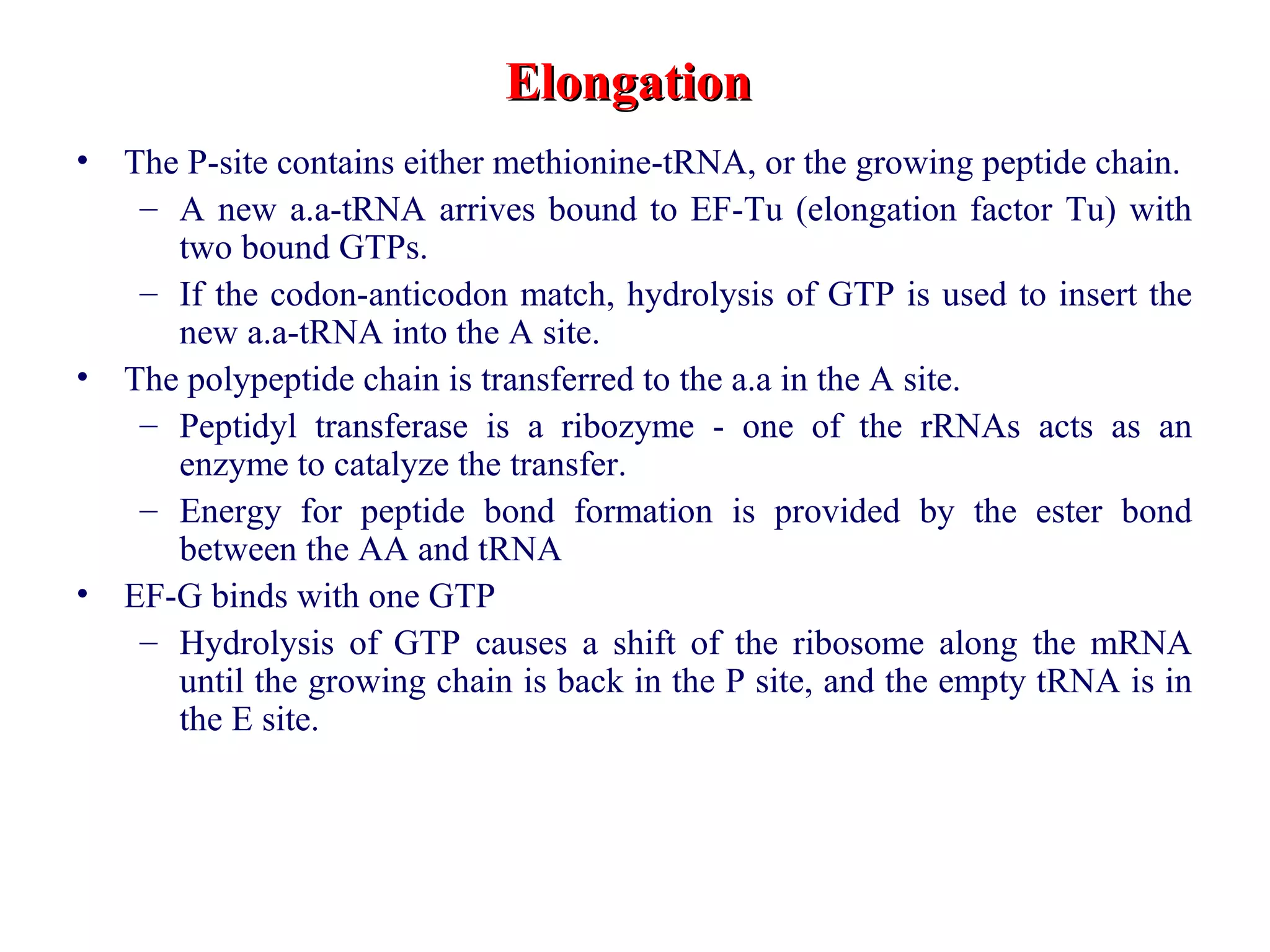 ElongationElongation
• The P-site contains either methionine-tRNA, or the growing peptide chain.
– A new a.a-tRNA arrives bound to EF-Tu (elongation factor Tu) with
two bound GTPs.
– If the codon-anticodon match, hydrolysis of GTP is used to insert the
new a.a-tRNA into the A site.
• The polypeptide chain is transferred to the a.a in the A site.
– Peptidyl transferase is a ribozyme - one of the rRNAs acts as an
enzyme to catalyze the transfer.
– Energy for peptide bond formation is provided by the ester bond
between the AA and tRNA
• EF-G binds with one GTP
– Hydrolysis of GTP causes a shift of the ribosome along the mRNA
until the growing chain is back in the P site, and the empty tRNA is in
the E site.
 