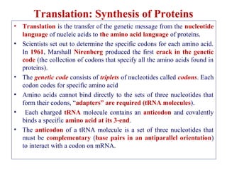 Translation: Synthesis of Proteins
• Translation is the transfer of the genetic message from the nucleotide
language of nucleic acids to the amino acid language of proteins.
• Scientists set out to determine the specific codons for each amino acid.
In 1961, Marshall Nirenberg produced the first crack in the genetic
code (the collection of codons that specify all the amino acids found in
proteins).
• The genetic code consists of triplets of nucleotides called codons. Each
codon codes for specific amino acid
• Amino acids cannot bind directly to the sets of three nucleotides that
form their codons, “adapters” are required (tRNA molecules).
• Each charged tRNA molecule contains an anticodon and covalently
binds a specific amino acid at its 3-end.
• The anticodon of a tRNA molecule is a set of three nucleotides that
must be complementary (base pairs in an antiparallel orientation)
to interact with a codon on mRNA.
 